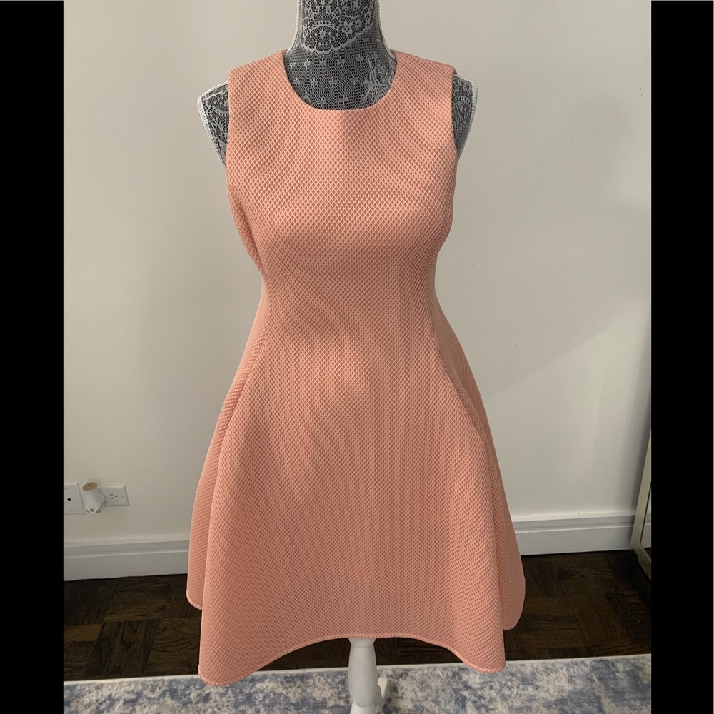 DKNY Fit n Flare Dress with Pockets